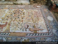Floor mosaics in Heraklea