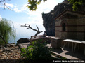Pictures of Ohrid (UNESCO)