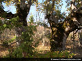 Pictures of Resen (Prespa)