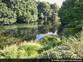 st. Naum - Natural Surroundings